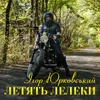 About Летять лелеки Song