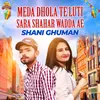 About Meda Dhola Te Luti Sara Shahar Wadda Ae Song