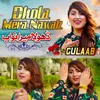 About Dhola Mera Nawab Song