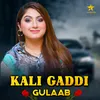 About Kali Gaddi Song