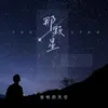 About 那颗星 Song