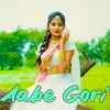 About Aabe Gori Song