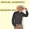 About BENDECIDO Song