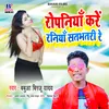 About Ropaniya Kare Raniya Satbhatri Re Song