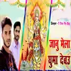 About Janu Mela Ghuma Debau Song