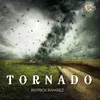About TORNADO Song