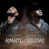 About Amarte en Soledad Song