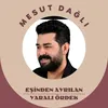 About Eşinden Ayrılan Yaralı Ördek Song