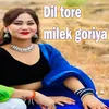 About Dil tore milek goriya Song