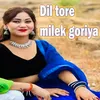 Dil tore milek goriya