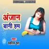 About Anjan Bani Ham Song