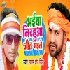 About Bhaiya Nirahua Jeet Gaile Song