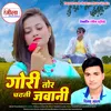 About Gori Tor Chadhati Jawani Song