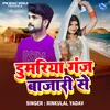 About Dumariyaganj Bazari Se Song