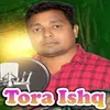 About Tora Ishq Song
