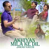 About Akhiyan Mila Ke Dil Song