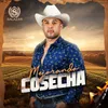 About Mejorando La Cosecha Song