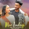 About Mor Zindagi Song