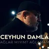 About Ağlar Mıyım Ağlamam Song