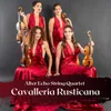 Cavalleria Rusticana: "Intermezzo"