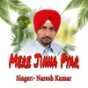 About Mere Jinna Pyar Song
