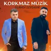 About Olmadı Sendiğim Song