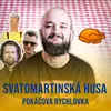 About Svatomartinská husa Song