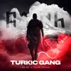 About Turkic Gang Song