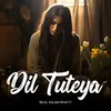 About Dil Tuteya Song