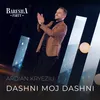 About Dashni moj dashni Song