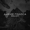 About Дикие голоса Song