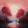 About Partial Love Song