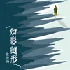 About 如影随形 Song