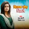 About Dilwa Tod Dihale Song