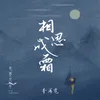 About 相思成霜 Song