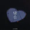 About 缝合 Song