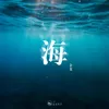 About 海 Song