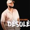 About Désolé Song