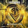 About Without You Song