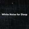 White Noise, Pt. 2