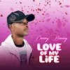About Love Of My Life Song