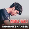 About Aimal Wali Song