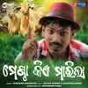 About Mendha Kie Marila Song