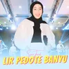 Lir Pedote Banyu