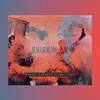 About SHIRKIN AY Song