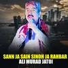 About Sann Ja Sain Sindh Ja Rahbar Song