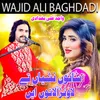 Shadi song sanu nashya te lawan ala tu ay|wajid ali baghdadi | Sharabi Song