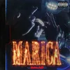 Marica