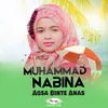 About Muhammad Nabina Song