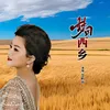 About 梦回西乡 Song